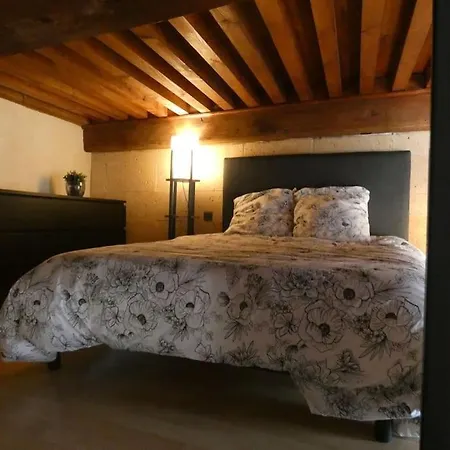 Lyon:superbe Canut Duplex Perimetre Unesco *