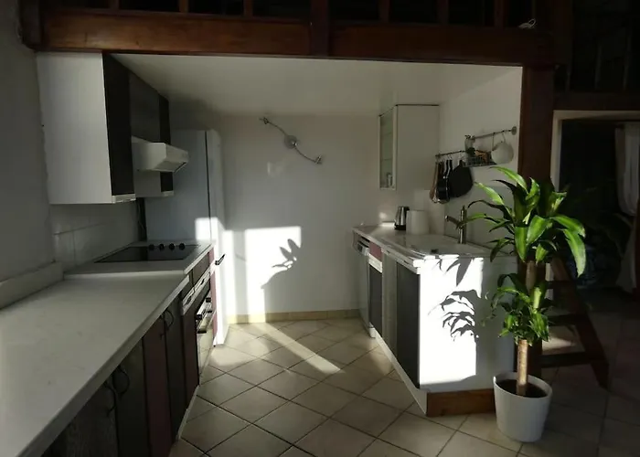 Lyon:superbe Canut Duplex Perimetre Unesco Lejlighed *