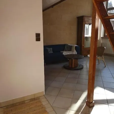 Appartement Lyon:superbe Canut Duplex Perimetre Unesco Lyon