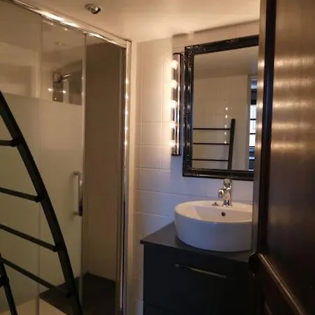 Lyon:superbe Canut Duplex Perimetre Unesco Appartement *