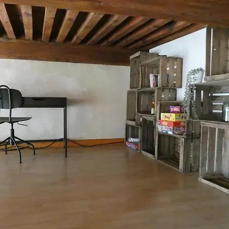Lyon:superbe Canut Duplex Perimetre Unesco Apartman Lyon